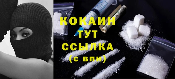 spice Каменногорск