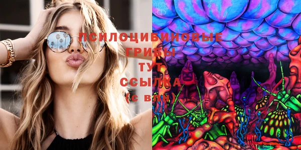 spice Каменногорск