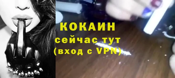 спиды Каменка