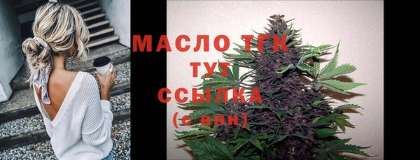 спиды Каменка