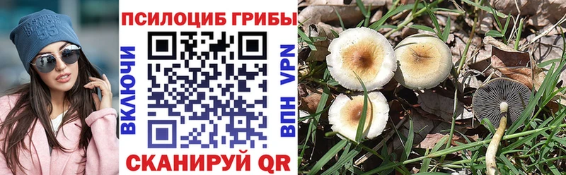 Купить где  Коркино  Галлюциногенные грибы мицелий 